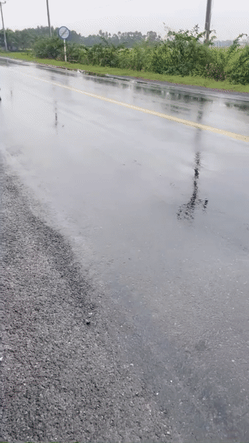 Mua bán Đất Thị xã Ngã Năm Sóc Trăng diện tích 2000 m² giá 2,6 tỷ