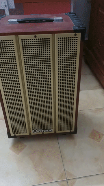 Loa kéo Arirang bát  30cm Hàn Quốc 95%. Mua bán Tivi, Âm thanh tại Quận Hai Bà Trưng Hà Nội được đăng bởi LAM hình 1