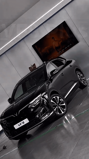 VINFATS VF8 PLUS VAY NET 90% BAO HỒ SƠ KHÓ!. Mua bán Ô tô tại Quận 10 Tp Hồ Chí Minh được đăng bởi KỲ hình 1