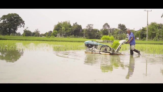 Areeya, a wordless film from Thailand