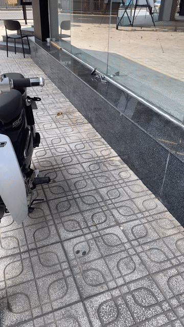 WMoto Cub Classic 50 2021 BSTP Odo 1.3k Xe Đẹp. Mua bán Xe máy tại Quận Gò Vấp Tp Hồ Chí Minh được đăng bởi Khương Phan hình 1
