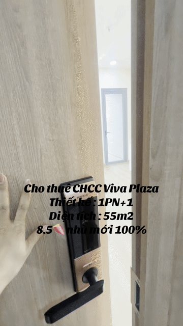 Cho thuê Căn hộ Chung cư Viva Plaza Quận 7 Tp Hồ Chí Minh diện tích 55 m² giá 8,5 triệu/tháng