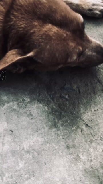 Xe máy Honda Wave nhỏ 110cc. Mua bán Xe máy tại Huyện Bình Chánh Tp Hồ Chí Minh được đăng bởi Phát hình 1