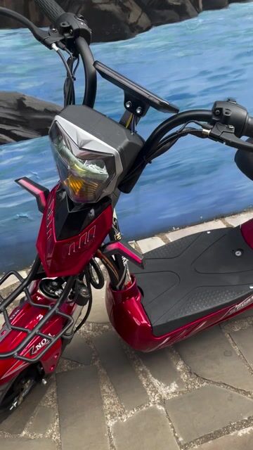 Xe điện màu Đỏ đã qua sử dụng. Mua bán Xe đạp tại Thành phố Buôn Ma Thuột Đắk Lắk được đăng bởi Hoang minh đức hình 1