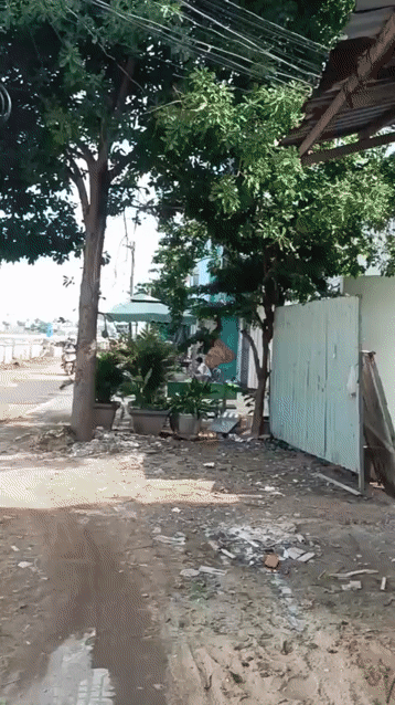 Cho thuê Nhà ở Quận Gò Vấp Tp Hồ Chí Minh diện tích 50 m² giá 6 triệu/tháng