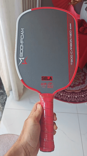 Vợt Pickleball Sela Boom Gen5,. Mua bán Đồ thể thao, Dã ngoại tại Quận Bình Thạnh Tp Hồ Chí Minh được đăng bởi anh Quốc hình 1