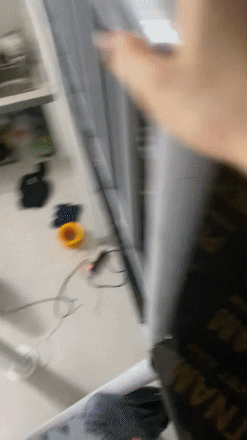Mèo nhà đa sắc màu đực và cái. Mua bán Mèo tại Quận Bắc Từ Liêm Hà Nội được đăng bởi Lê Phương Thảo hình 1