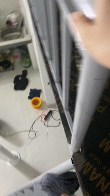 Mèo nhà đa sắc màu đực và cái. Mua bán Mèo tại Quận Bắc Từ Liêm Hà Nội được đăng bởi Lê Phương Thảo hình 1