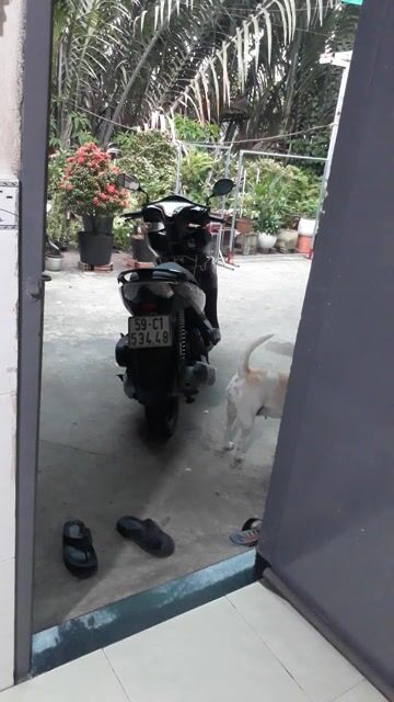 Honda Air Blade 2014 Đỏ đen. Mua bán Xe máy tại Quận Bình Thạnh Tp Hồ Chí Minh được đăng bởi Nguyen van tien hình 1