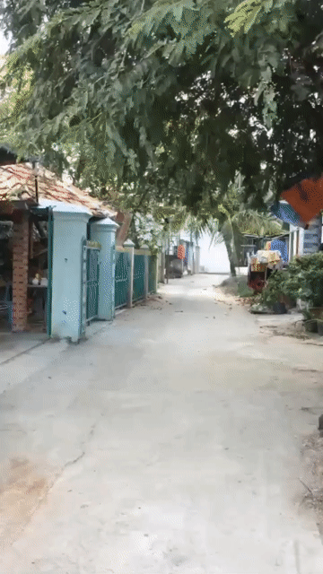 Mua bán Đất Huyện Nhơn Trạch Đồng Nai diện tích 101 m² giá 1,75 tỷ
