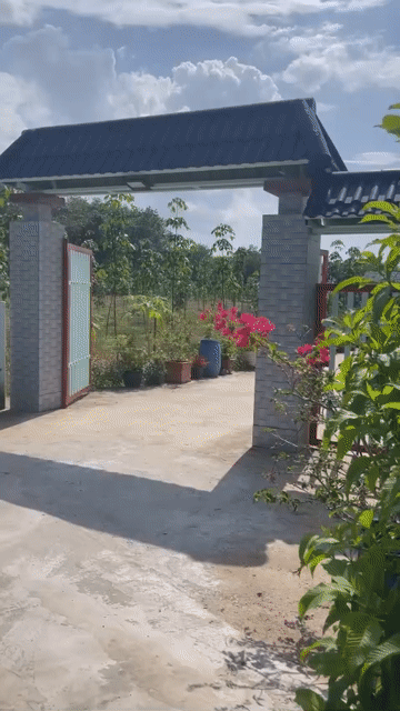 Mua bán Đất Huyện Bàu Bàng Bình Dương diện tích 150 m² giá 870 triệu