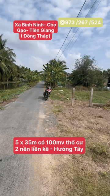 Mua bán Đất Huyện Chợ Gạo Tiền Giang diện tích 175 m² giá 427 triệu