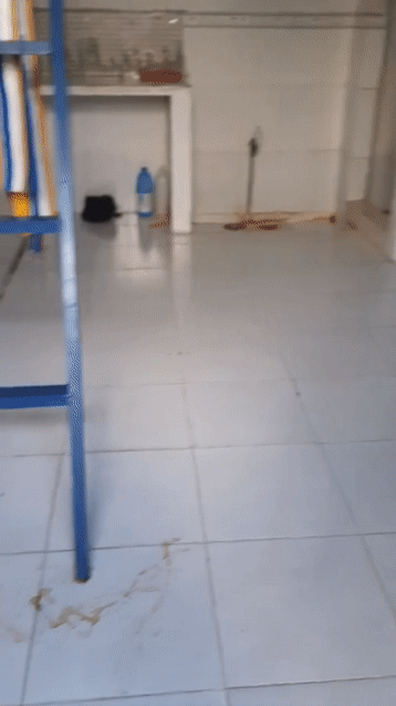 Cho thuê Phòng trọ Thành phố Thuận An Bình Dương diện tích 17 m² giá 1,5 triệu/tháng